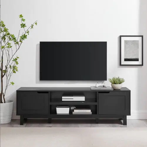 58" Black 2-Door Modern TV Stand with Storage