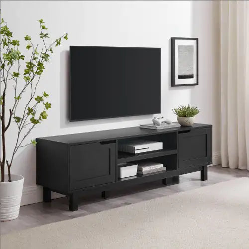 58" Black 2-Door Modern TV Stand with Storage
