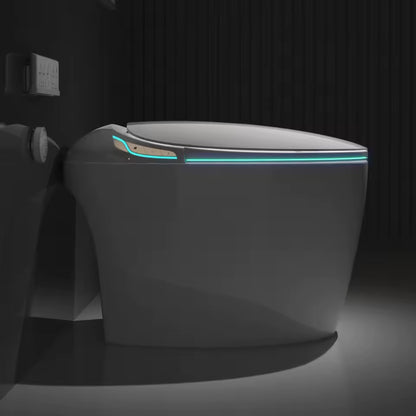 Smart Bidet Toilet, Auto Open/Close, Foot Sensor Flush, Heated Seat, Warm Air Dryer, LED Display