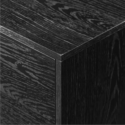 Modern Black 2-Door TV Stand with Storage