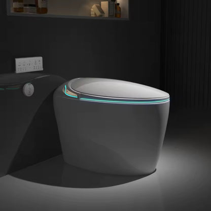 Smart Bidet Toilet, Auto Open/Close, Foot Sensor Flush, Heated Seat, Warm Air Dryer, LED Display