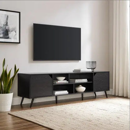 Modern Black 2-Door TV Stand with Storage