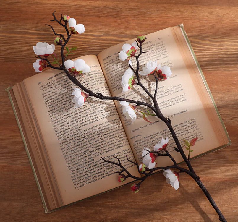 Silk Plum Blossom Branches – Artificial Floral Stems Decor