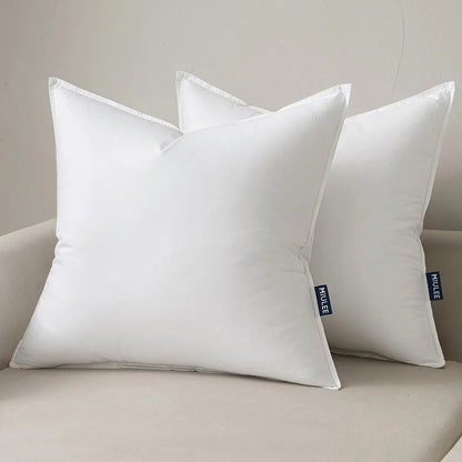 Set of 2 Fluffy White Pillow Inserts 22x22"