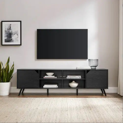 Modern Black 2-Door TV Stand with Storage